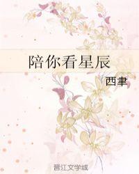 陪你看星辰大海接下一句