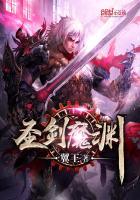 魔渊之刃圣盾词缀怎么样