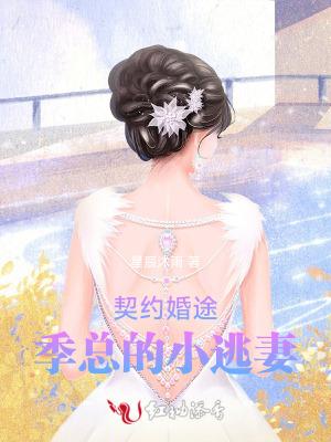 契约总裁闪婚记免费阅读