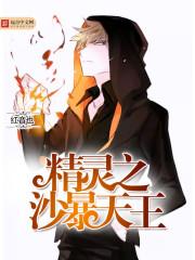 精灵沙暴天王txt