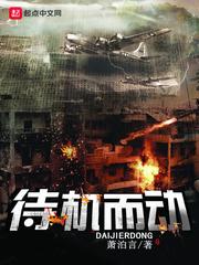 待机而动是什么意思解释