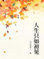 人生若只如初见电视剧