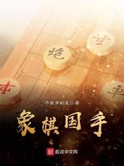 象棋国手挑战地摊残局