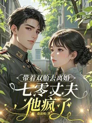 带着双胎去离婚七零丈夫他疯了