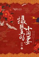 摄政王的小闲妻免费全书