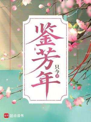 鉴芳年讲的是什么