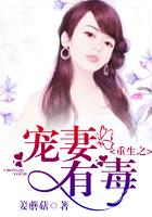 重生之宠妻上天全文免费阅读