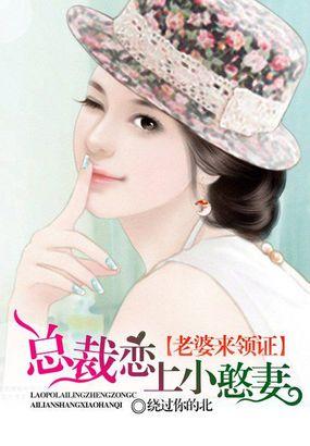 总裁老婆爱上我 大全