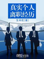 真实个人离职经历怎么写