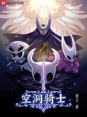 空洞骑士wiki