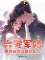 六零军婚带着菜鸟驿站甜蜜蜜