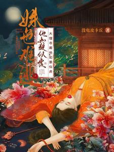 大理寺卿无弹窗