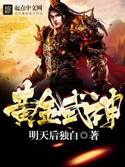 黄金武士是哪个英雄的皮肤