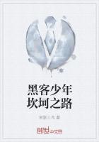 少年黑客v讲述黑客事件