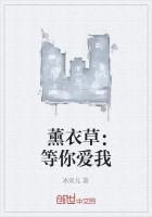 薰衣草全部歌曲