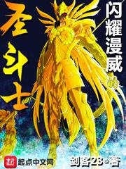 闪耀漫威的圣斗士TXT百度