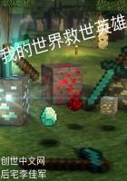 我的世界英雄系列