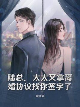 陆总离婚请签字