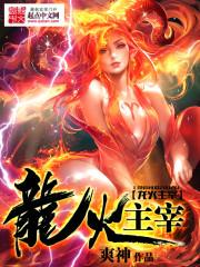 龙火主宰免费阅读
