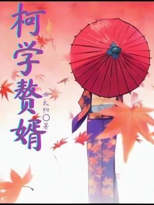 赘婿可以科举吗