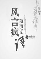 疯言疯语中的风是什么意思