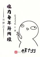 斗罗之魂力每年升两级 小飞飞飞飞机