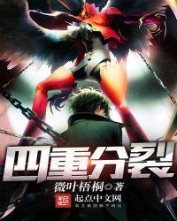 四重分裂全文免费阅读