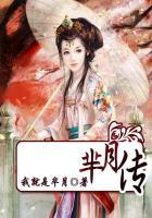 芈月传电视剧免费观看完整版高清