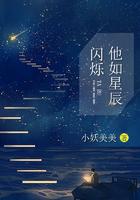 他如星辰闪烁第二部