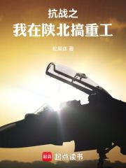 抗战之我是一个工业人奇书网