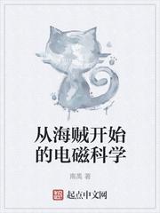 从海贼开始的磁场