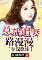 情深缘浅总裁追妻路漫漫全文阅读