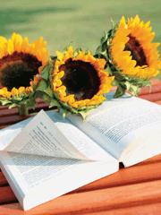 冷酷总裁别宠我灵香猫