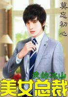 我的冰山美女总裁叶帆霉干菜烧饼