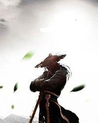 宿主又在崩剧情全文免费