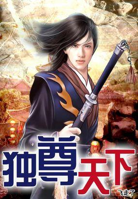 独尊天下全集免费完整版