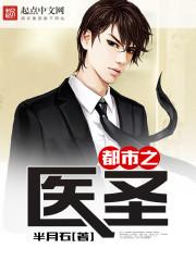 都市之医圣风流TXT