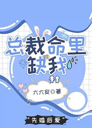 总裁命里缺我全集