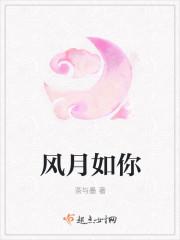 风月如你再不相逢
