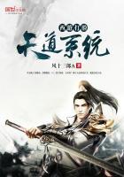 西游天道执法系统