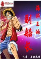 海贼王的副船长2