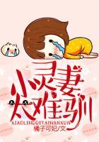 小灵妻太难驯免费阅读