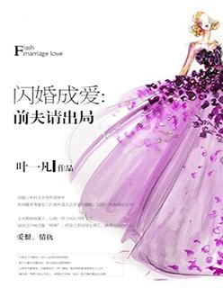 闪婚成爱前夫请出局免费阅读
