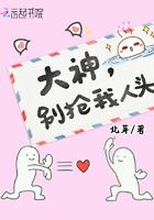 大神别追我免费阅读