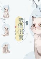吸猫指南简介