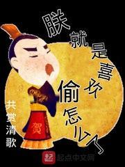 朕就是喜欢偷怎么了起点