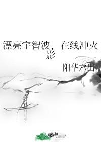 在线被攻略 作者阳华六出