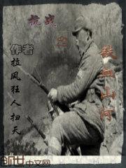 抗战之铁血山河李锋
