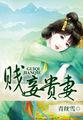 贱妻贵妾免费