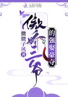 傲娇侯爷追妻记txt